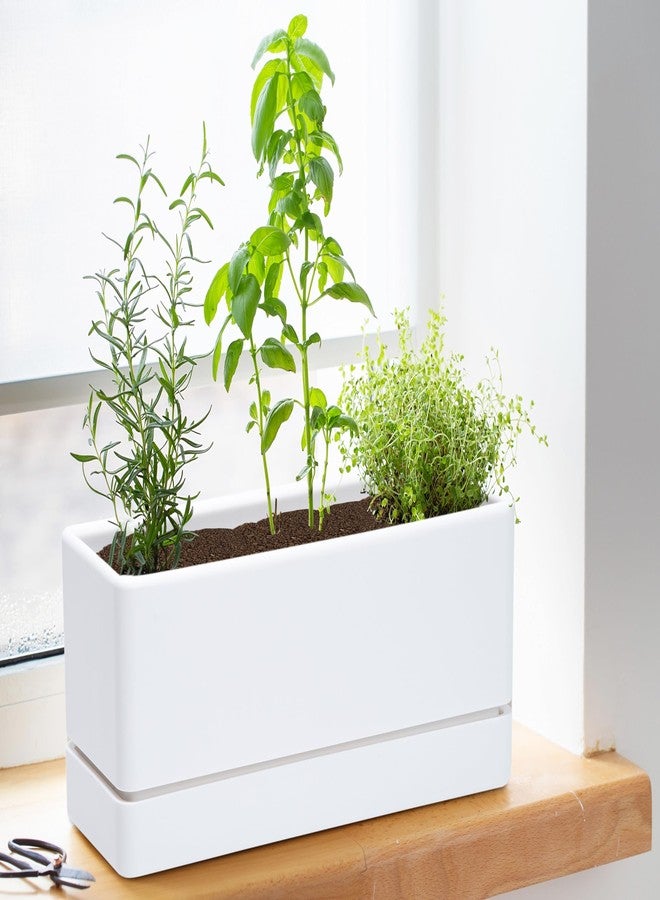 D'vine Dev 12 Inch Window Box Planter, Rectangle Plastic Herb Planter with Drainage Holes and Saucer, Indoor Succulent Cactus Vegetable Pot for Windowsill, Garden Balcony, White, Set of 1, 76-X-A-1 - Image 2